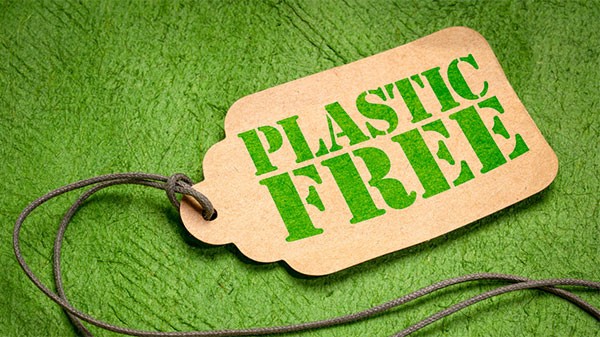 Plastic Free, Campania protagonista: 11 Comuni premiati, quattro ottengono le tre tartarughe