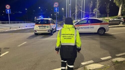 Salerno, cinghiali al Rione Petrosino: intervento per garantire sicurezza ai residenti