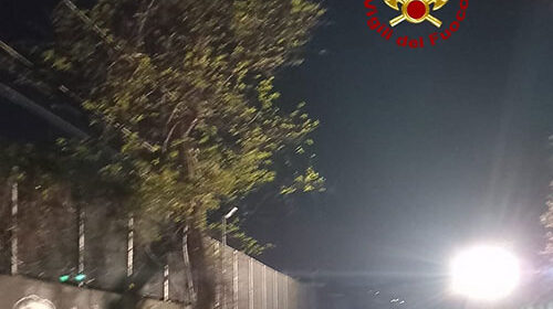 Salerno, albero sui cavi della metro: linea sospesa