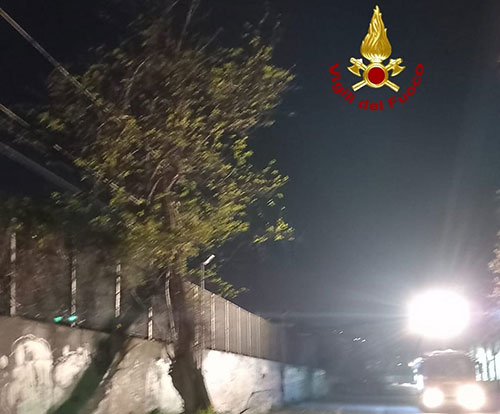 Salerno, albero sui cavi della metro: linea sospesa