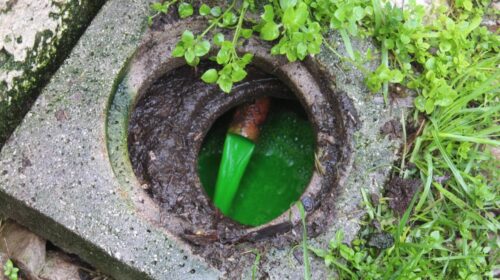 Capaccio-Paestum, smaltimento illecito di liquami e letame: sequestrata un’azienda zootecnica Capaccio-Paestum, smaltimento illecito di liquami e letame: sequestrata un’azienda zootecnica