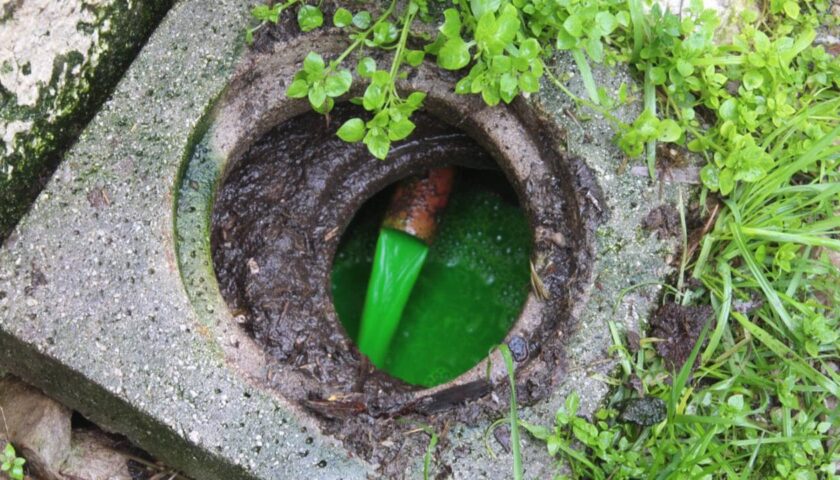 Capaccio-Paestum, smaltimento illecito di liquami e letame: sequestrata un’azienda zootecnica