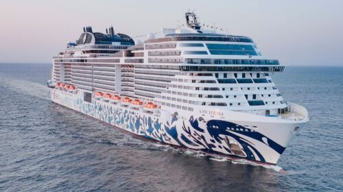 Codici: chiediamo a Msc aggiornamenti dettagliati sul rientro in Italia dei passeggeri della nave Euribia bloccata a Dubai