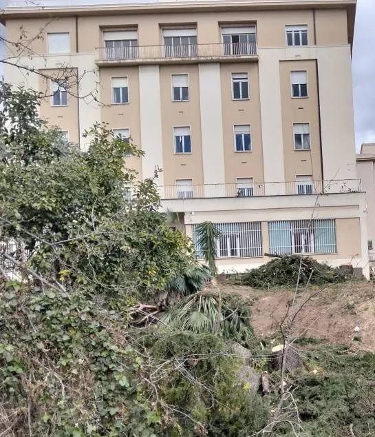 Salerno, lavori all’ex palazzo Sirti: il bosco dei pini non c’è più