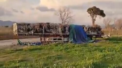 Pontecagnano, rifiuti tossici su Litoranea, Borrelli denuncia: “Bomba ecologica a due passi dal mare”