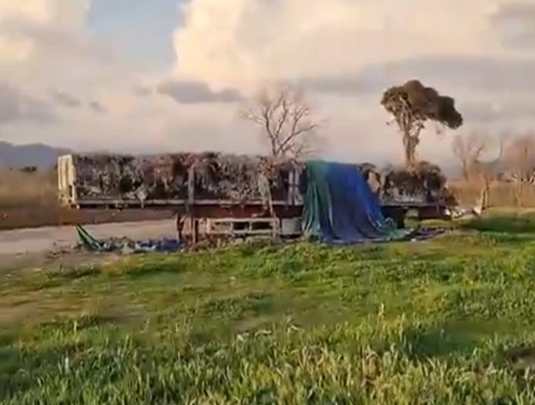 Pontecagnano, rifiuti tossici su Litoranea, Borrelli denuncia: “Bomba ecologica a due passi dal mare”