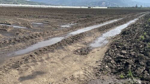 Reflui bufalini nella Piana del Sele, Paestum Energia Futura: “Fermare gli scarichi abusivi nei canali. Servono impianti moderni, non solo sequestri”