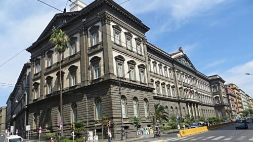 REFERENDUM, VIETRI (FDI): “GRAVE PROPAGANDA PER IL ‘NO’ ALLA FEDERICO II, UNIVERSITA’ RESTI IMPARZIALE”