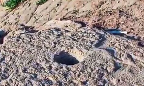 A Castellabate le mareggiate portano sulla spiaggia i “rocchi” dei templi di Paestum