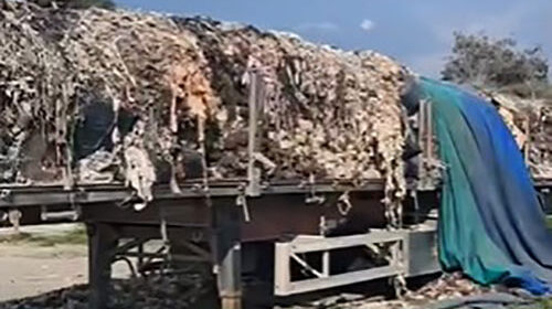 Rimorchio tra Pontecagnano e Salerno pieno di rifiuti, Borrelli: cancerogeni ed ecotossici Rimorchio tra Pontecagnano e Salerno pieno di rifiuti, Borrelli: cancerogeni ed ecotossici