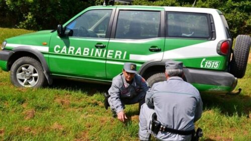 Albanella, sequestro preventivo “linea di lavaggio” di un’impresa di imballaggi a Matinella