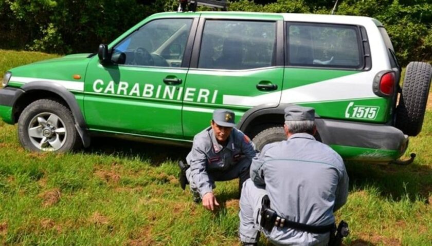 Albanella, sequestro preventivo “linea di lavaggio” di un’impresa di imballaggi a Matinella