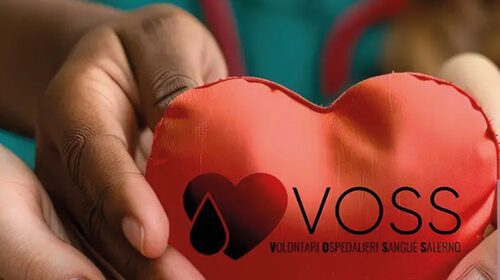 Salerno, il cuore della Voss batte più forte: tra innovazione digitale e storie di vita, l’assemblea  apre le porte alla città