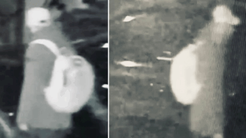 Capaccio Paestum, sinergia tra polizia locale e carabinieri: bloccato presunto ladro nella notte