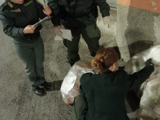 Pellezzano, controlli sul territorio: 2 sanzioni amministrative