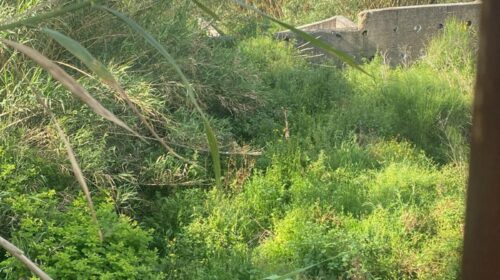 Sarno, preoccupazione per la vasca di laminazione di San Vito. Sirica: “basta scaricabarile”