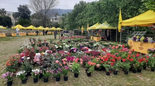 Salerno in Flora 2026, tre giorni tra natura, gusto e biodiversità con il Villaggio Coldiretti
