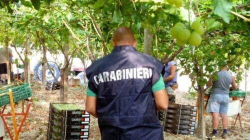 Braccianti ridotti in schiavitù, blitz dei carabinieri: arresti anche nel Salernitano Braccianti ridotti in schiavitù, blitz dei carabinieri: arresti anche nel Salernitano