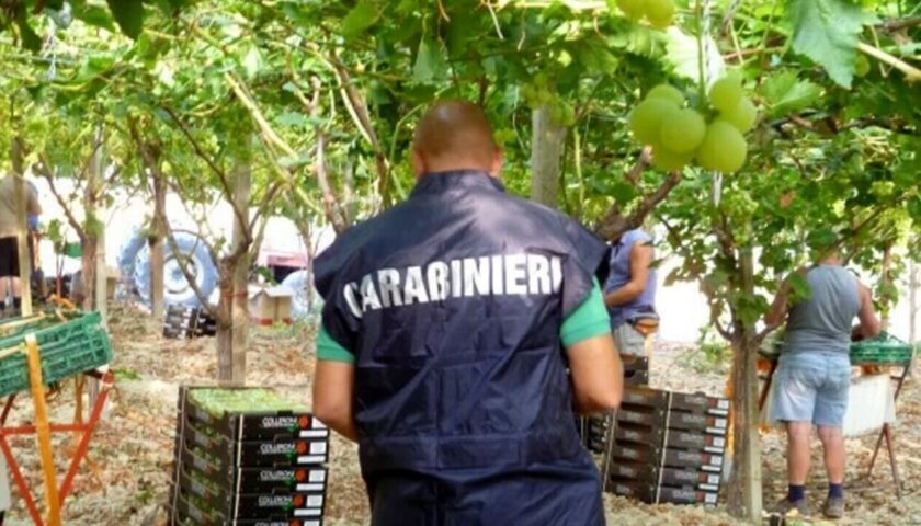 Braccianti ridotti in schiavitù, blitz dei carabinieri: arresti anche nel Salernitano