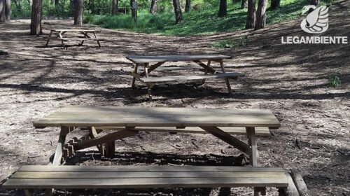 Capaccio Paestum, rubati tavoli e panchine dall’aula didattica dell’oasi naturalistica Capaccio Paestum, rubati tavoli e panchine dall’aula didattica dell’oasi naturalistica