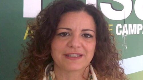 Casal Velino, quorum raggiunto: Silvia Pisapia confermata sindaco Casal Velino, quorum raggiunto: Silvia Pisapia confermata sindaco