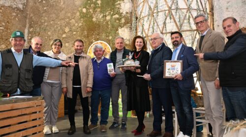 Auletta, Bianco Tanagro da record: il carciofo bianco guida la rinascita delle aree interne