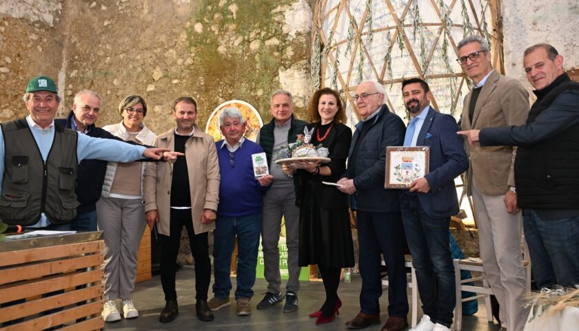 Auletta, Bianco Tanagro da record: il carciofo bianco guida la rinascita delle aree interne