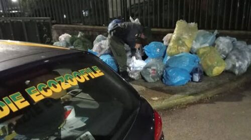 Pellezzano, controlli sui rifiuti: sanzioni e indagini su una discarica abusiva