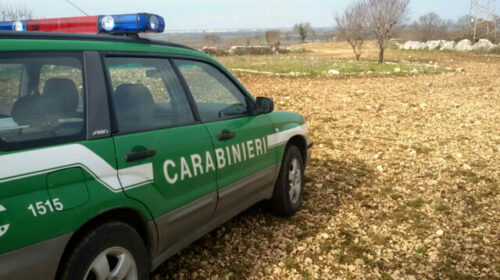 Nuova opera abusiva nel Parco del Cilento: scatta l’ordinanza di demolizione