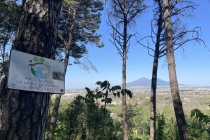 Sarno: apre l’Oasi del Voscone, 110 ettari di biodiversità