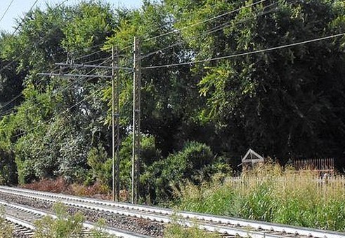 Pontecagnano Faiano, ordinanza anti-incendi: obblighi per i terreni vicino alla ferrovia