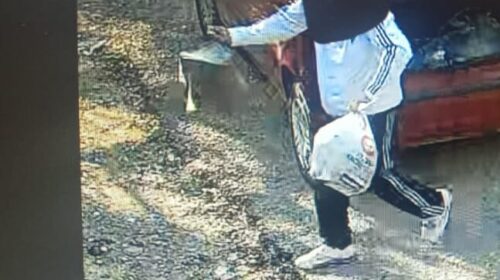 Battipaglia, ripresi mentre abbandonano rifiuti in strada: scattano due denunce Battipaglia, ripresi mentre abbandonano rifiuti in strada: scattano due denunce