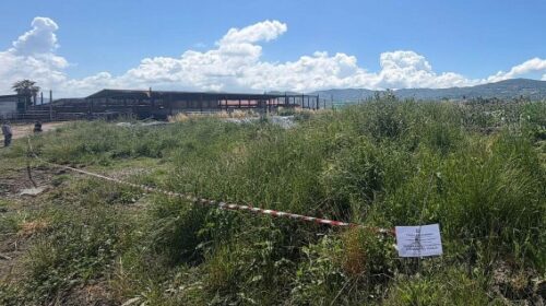 Capaccio Paestum, sversamento illecito di reflui: sequestrata azienda zootecnica a Spinazzo