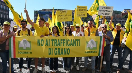 Crolla il prezzo dell’olio, agricoltori in piazza: basta manovre ingannevoli Crolla il prezzo dell’olio, agricoltori in piazza: basta manovre ingannevoli