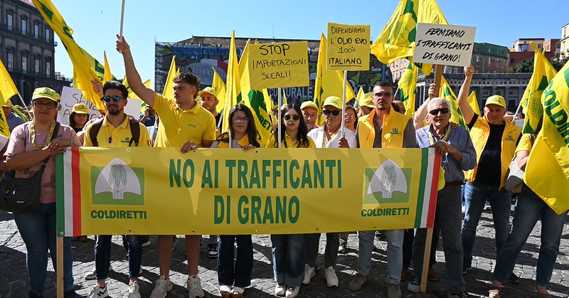 Crolla il prezzo dell’olio, agricoltori in piazza: basta manovre ingannevoli