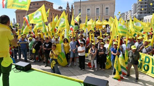 Coldiretti contro i trafficanti di olio che fanno crollare i prezzi dell’extravergine italiano