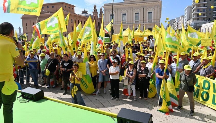 Coldiretti contro i trafficanti di olio che fanno crollare i prezzi dell’extravergine italiano