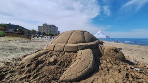 Tartarughe Marine, ad Acciaroli una maxi scultura di sabbia celebra la biodiversità del Mediterraneo