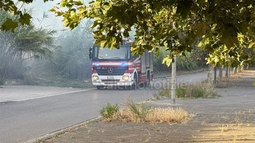 Eboli, incendio nella pineta a Foce Sele