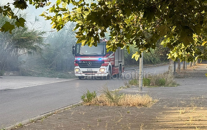 Eboli, incendio nella pineta a Foce Sele
