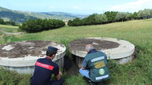 Smaltisce reflui da un’impresa suinicola nella Piana del Sele: denunciato Smaltisce reflui da un’impresa suinicola nella Piana del Sele: denunciato