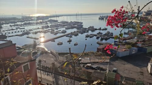 Salerno protagonista del crocierismo internazionale: prima in Italia per crescita e ai vertici del gradimento degli ospiti delle navi Salerno protagonista del crocierismo internazionale: prima in Italia per crescita e ai vertici del gradimento degli ospiti delle navi