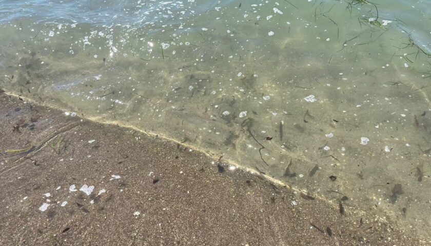 Capaccio Paestum, Paestum Energia Futura: “La mancata Bandiera Blu segnala una pressione ambientale strutturale. L’impianto a biometano è una risposta concreta per il territorio”