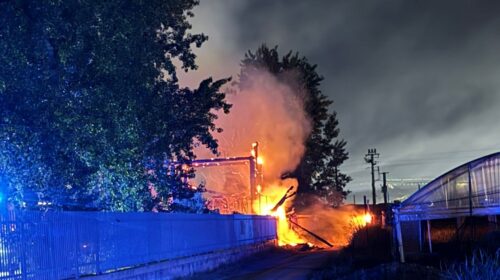 Incendio divora il Parco archeologico Longola nella Valle del Sarno Incendio divora il Parco archeologico Longola nella Valle del Sarno
