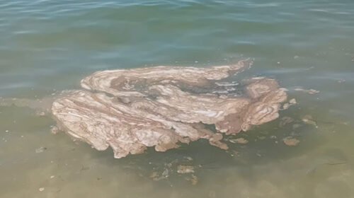 Salerno, mare sporco e bagnanti in fuga Salerno, mare sporco e bagnanti in fuga
