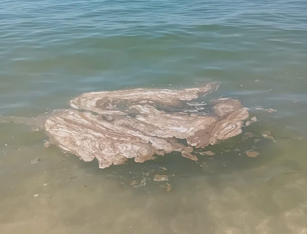 Salerno, mare sporco e bagnanti in fuga