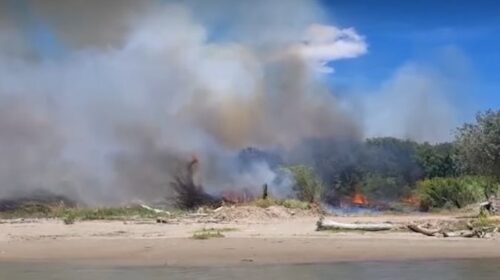 Incendio in pineta a Eboli, “Ora subito un piano per la riforestazione” Incendio in pineta a Eboli, “Ora subito un piano per la riforestazione”