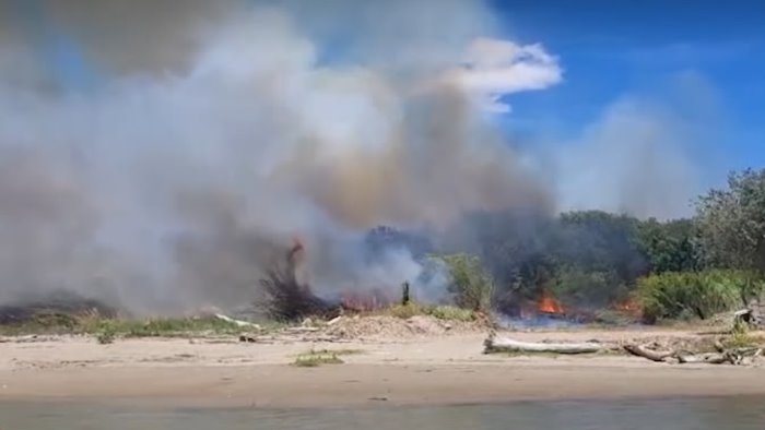 Incendio in pineta a Eboli, “Ora subito un piano per la riforestazione”