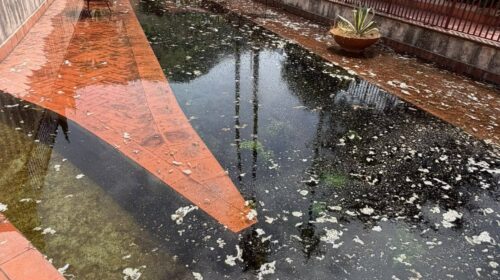 Fiume Sarno, controlli dell’Agroforestale