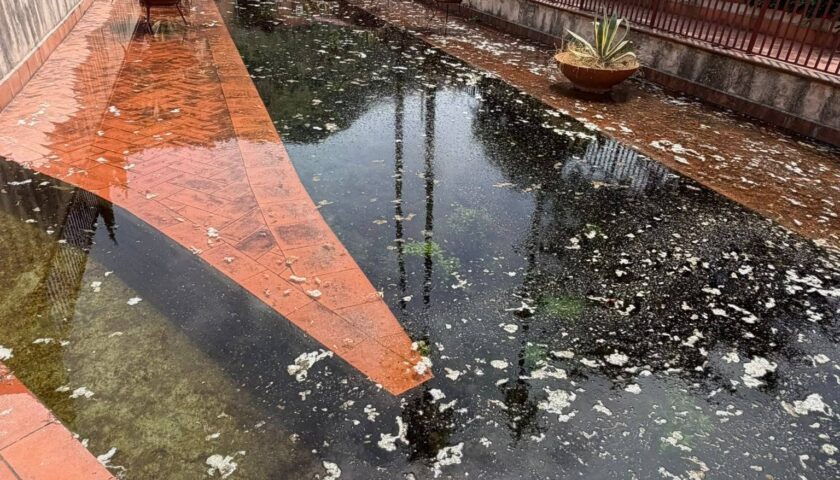 Fiume Sarno, controlli dell’Agroforestale